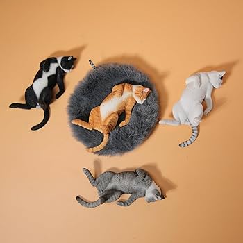めだかの喜ぶ猫さま(=^・^=)『す』 めだかの喜ぶ猫さま(=^・^=)『す』 ENG) Two cats who like a